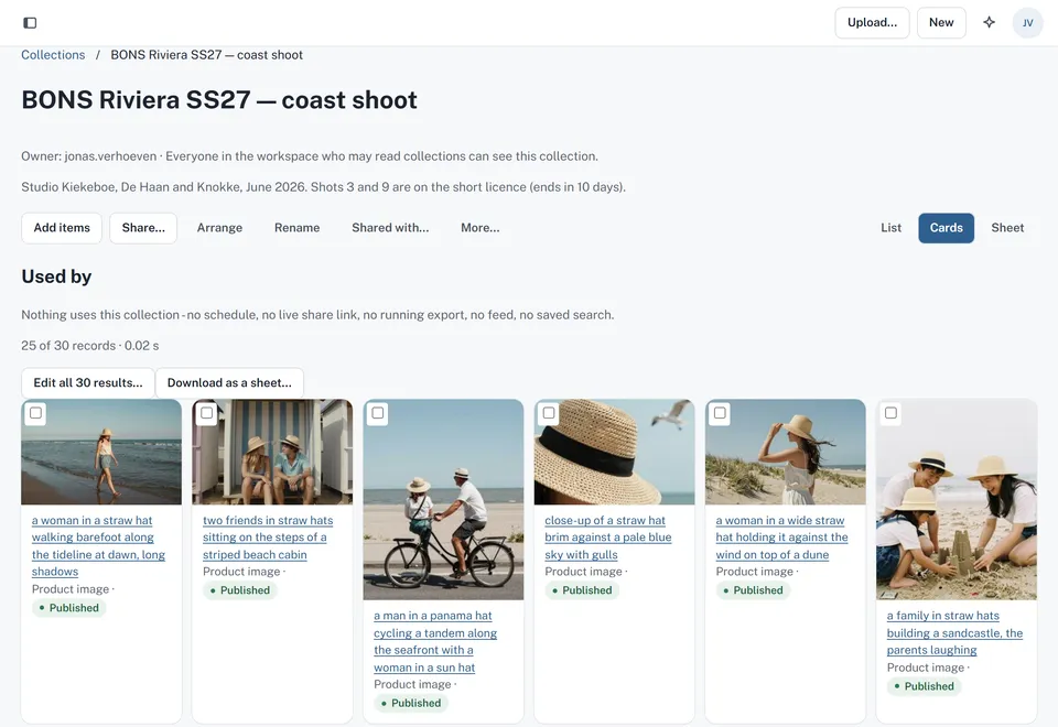 A campaign collection shown as cards: beach photography of straw hats, each marked Published, with a note that two shots are on a short licence ending in ten days.